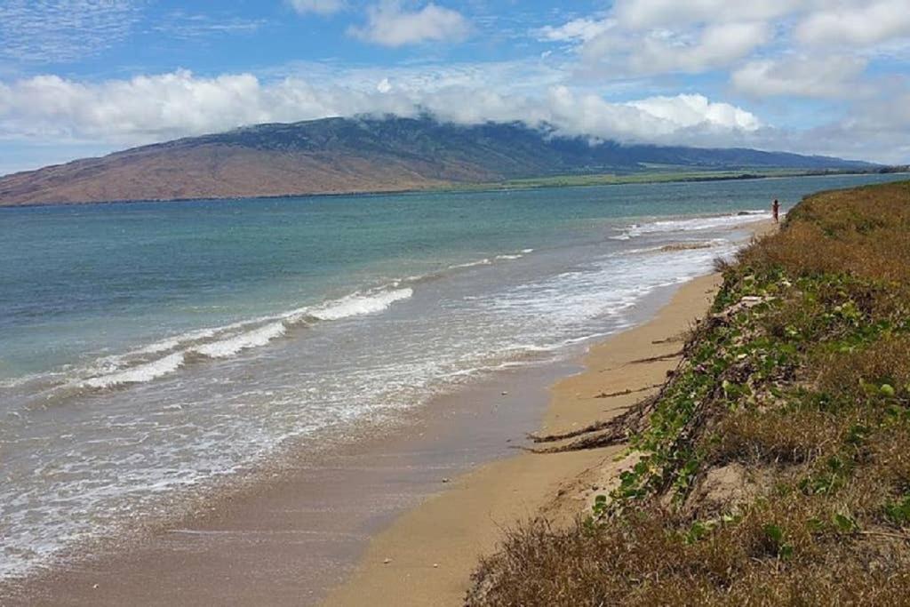 Oceanfront Penthouse With Amazing Views At Kauhale Makai Lejlighed Kihei Eksteriør billede
