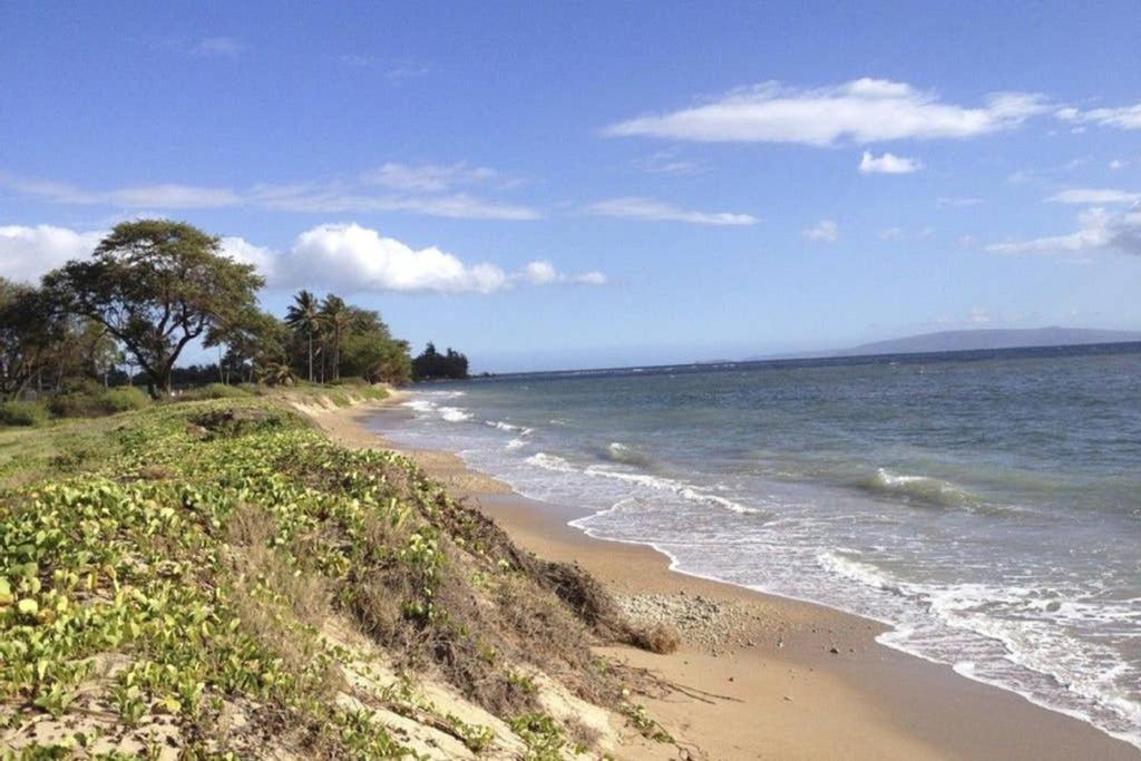 Oceanfront Penthouse With Amazing Views At Kauhale Makai Lejlighed Kihei Eksteriør billede